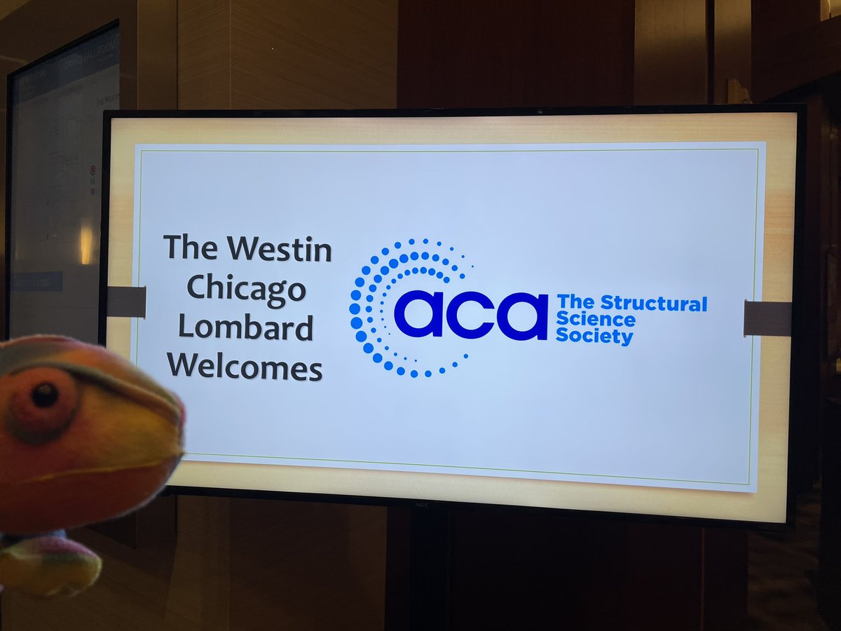 edward_eng's tweet image. Visit the NIH sponsored #cryoEM service centers in the @ACAxtal #ACA2025 exhibit hall at booth 35.
Find out how we can support your research projects through data collection, training, sample prep & screening at no cost at the point of access.
cryoemcenters.org