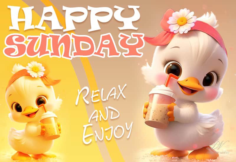 ArmyBrat682's tweet image. Happy Sunday Friends! Relax, breathe & touch grass today!
🩷💚☀️🪴🌿🩷💚