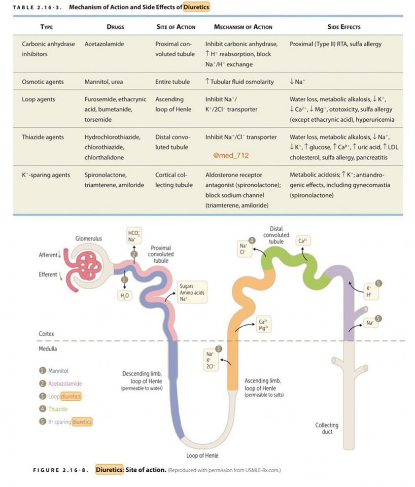 🔴Diuretics: Type, Site, Mechanism of action and Side effects.⤵️🔹

 #Cardiology #FOAMed #MedEd #medstudent #paramedic #Cardiology #CardioEd #medtwitter #meded #CardioTwitter #cardiotwiteros  #MedX #cardiovascular #MedTwitter #medical #medEd #cardiotwitter #medicineball