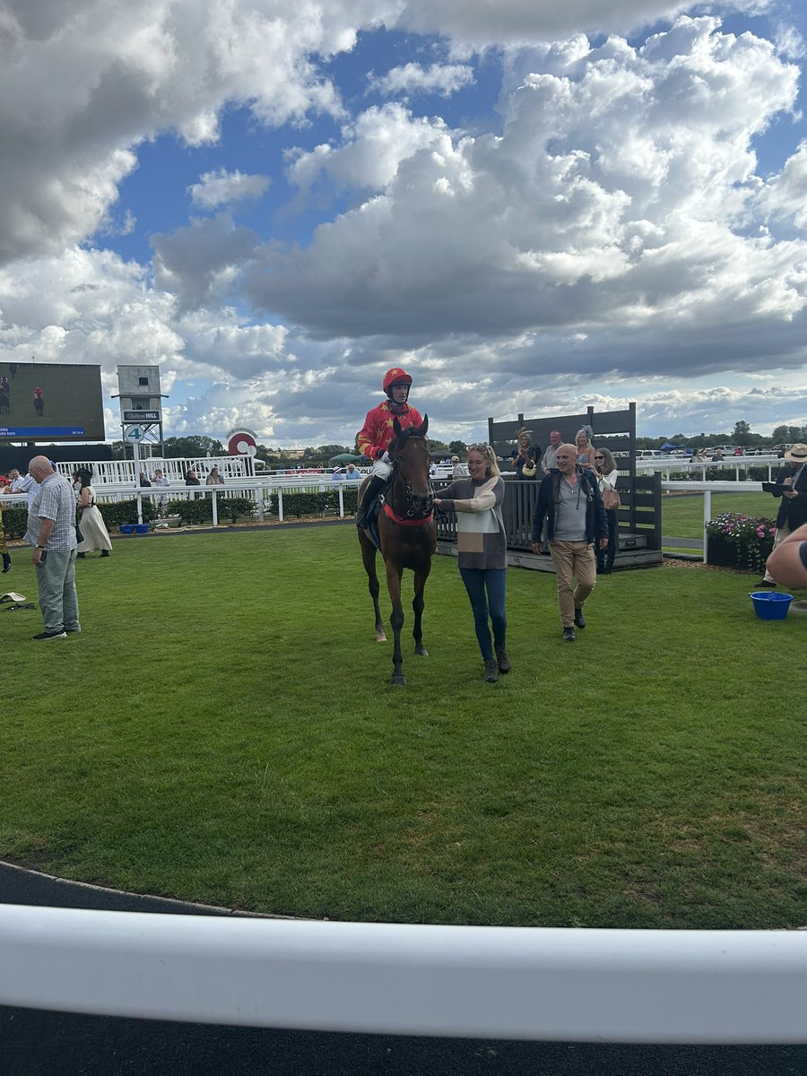 Crazyg07231486's tweet photo. Moro Rock @stratfordraces 🥇🐎 https://t.co/g7Kg51620L