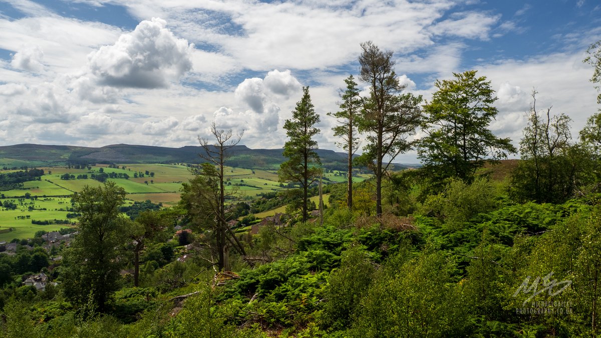 jollybeggars's tweet image. A walk above beautiful Rothbury today... #Northumberland