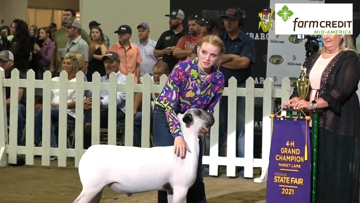 hoosieragtoday's tweet image. LOOKING BACK: With the @Indiana4h Grand Drive coming up at the @IndyStateFair, Farm Credit Mid-America (@farmcreditmid) is proud to bring you this look back at the 2021 event and Hoosier Ag Today’s interviews with the Grand Champions!
WATCH THE VIDEO: youtube.com/watch?v=NKPtX0…
