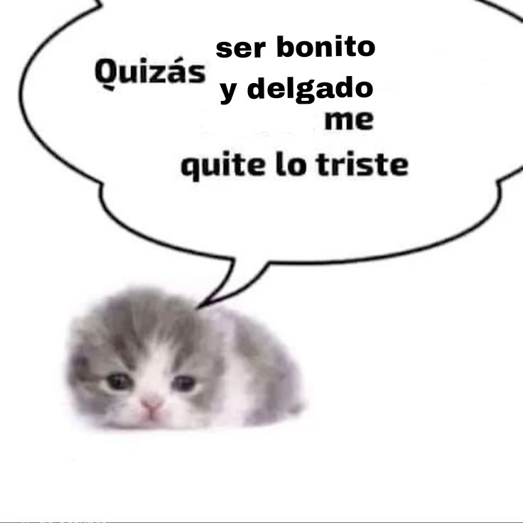 @ Niko — ニコライ!! (@deftoniko) on Twitter photo 