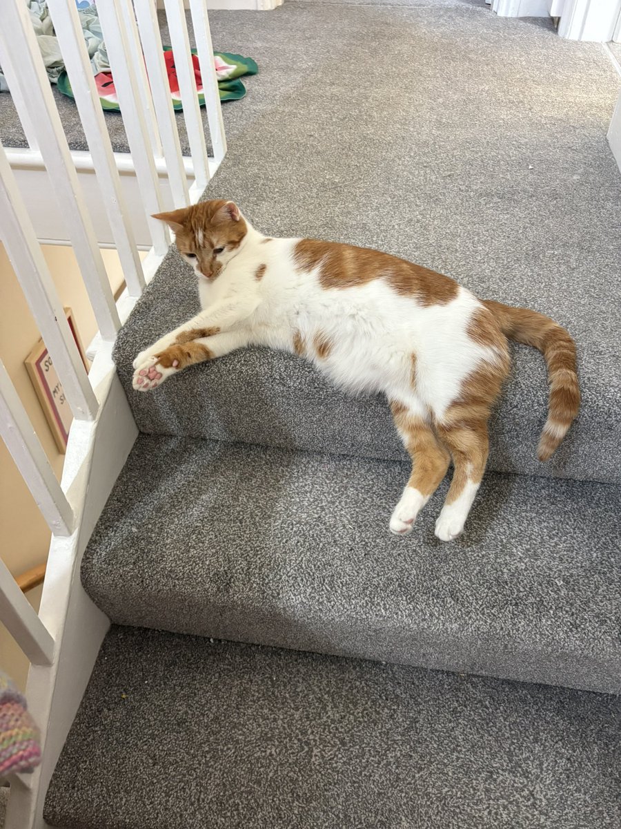 binkywinkywoo's tweet image. chunky girl does biiiiiiig stretch