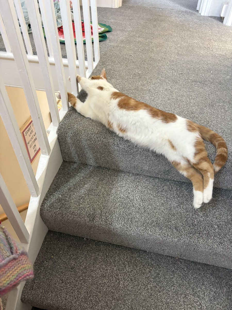 binkywinkywoo's tweet image. chunky girl does biiiiiiig stretch