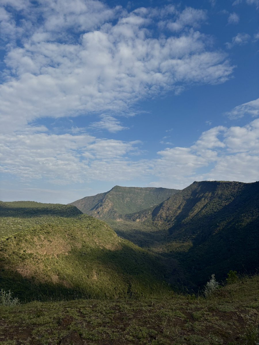 _mkariuki's tweet image. Mt Suswa Conservancy