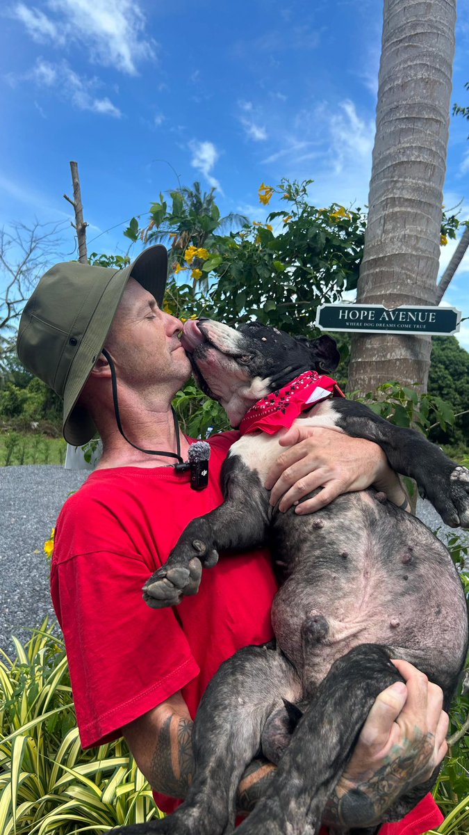 Niall Harbison tweet media