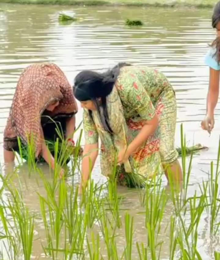 Rinkiyadav04's tweet image. क्या आप पहचान रहे हैं, कौन हैं ?