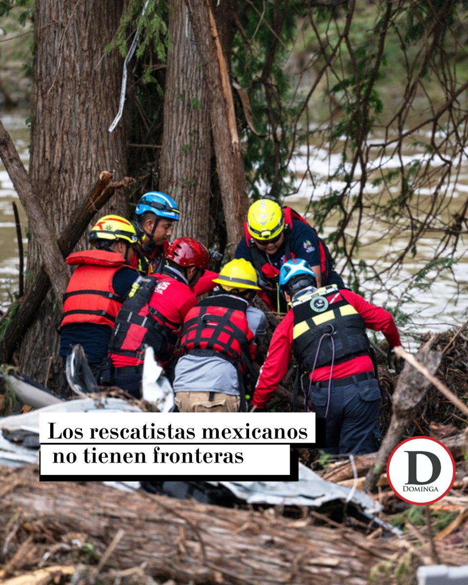 Wendy Selene Pérez (@wendyselene) on Twitter photo 🟡 La historia detrás del duro rescate de una persona fallecida en las inundaciones en Texas, una de las tragedias más grandes en Estados Unidos. Olfato e ingenio son las herramientas de rescatistas mexicanos. Con <a href="/jankcurbelo/">Jesús Jank Curbelo</a> en la <a href="/dominga_milenio/">Revista Dominga</a>. milenio.com/internacional/… 🟡 La historia detrás del duro rescate de una persona fallecida en las inundaciones en Texas, una de las tragedias más grandes en Estados Unidos. Olfato e ingenio son las herramientas de rescatistas mexicanos. Con <a href="/jankcurbelo/">Jesús Jank Curbelo</a> en la <a href="/dominga_milenio/">Revista Dominga</a>. milenio.com/internacional/…