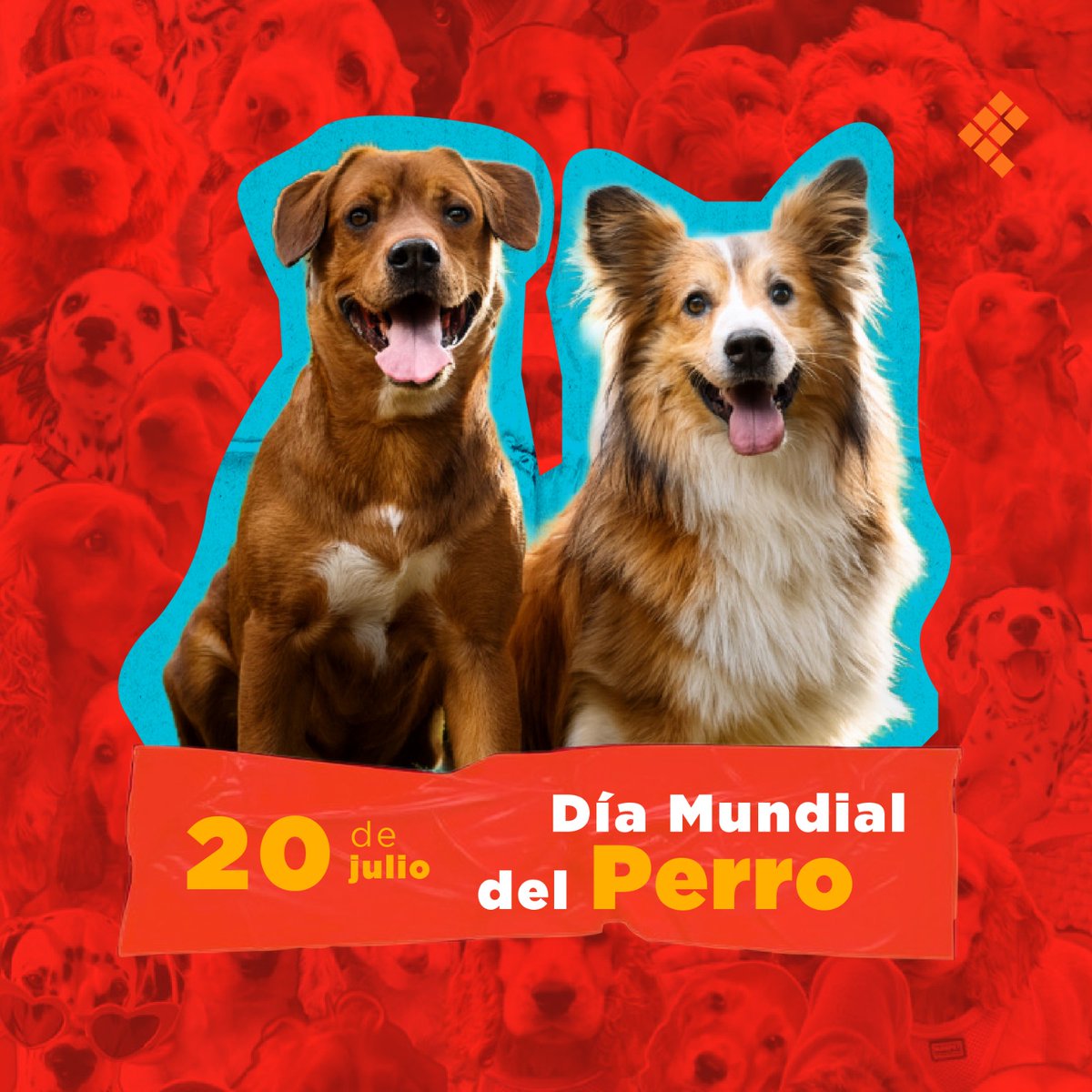 #peludosencantadores | ¡Feliz Día del Perro!🐾✨

Hoy celebramos a esos seres leales, traviesos y amorosos que nos llenan de alegría con solo mover la cola. 🐶💛

#DíaDelPerro #Perrhijos #AmorPeludo