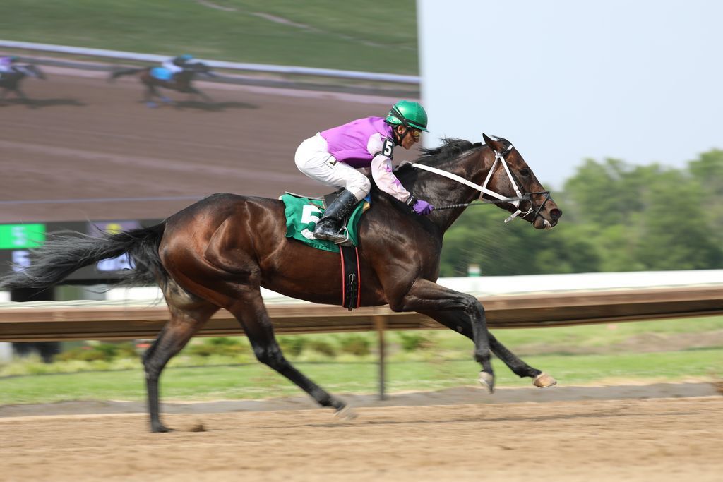 FairmountPk's tweet image. Nothing beats the thrill of race day at Fairmount Park! From the sound of the starting gate to the thunder of hooves down the stretch โ every race is a rush.