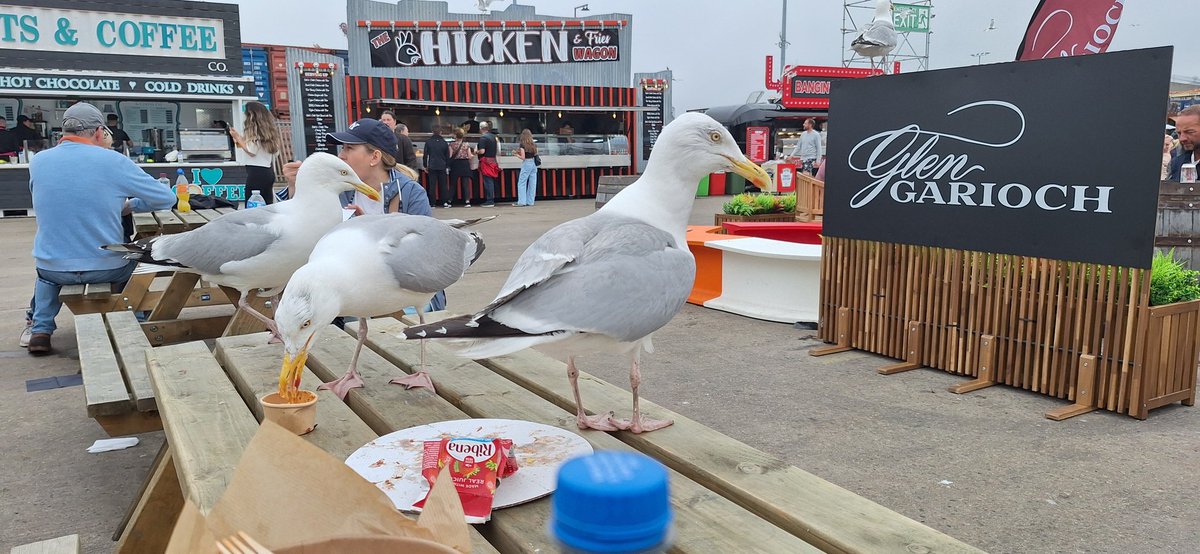 Descended upon....! 😄