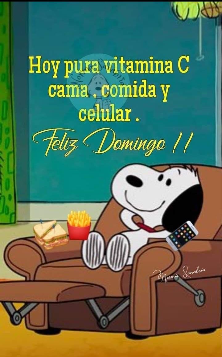 😄Felíz Domingo!