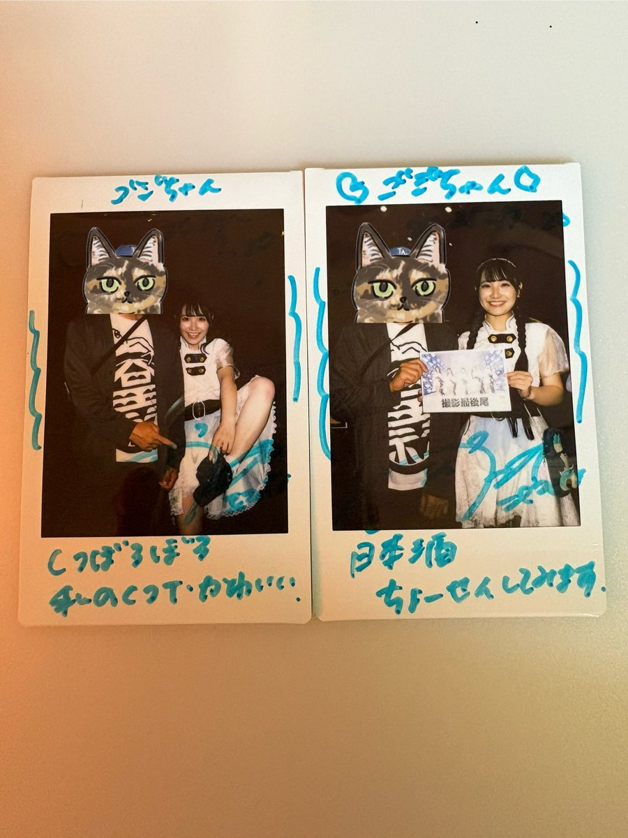 negu様❤️おまとめ専用ページです。3/11まで♡ 富士金梅 - অনুসন্ধান / X