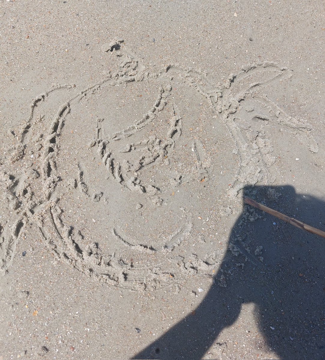 kyohrvs's tweet image. some photos from the beach! and i tried to draw 🐣 in the sand... 😭 (also held on to everything tightly so the birds wouldn't snatch 🐣 LOL)
#CampScythekicks25 #PioPape