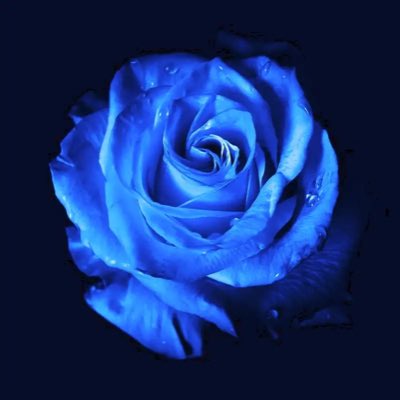 SarahLizzyLou's tweet image. RIP Bridget 🕯️💙
Sending lots of love to everyone who knew her and the wider MEcfs community.
dignitymemorial.com/obituaries/chi…