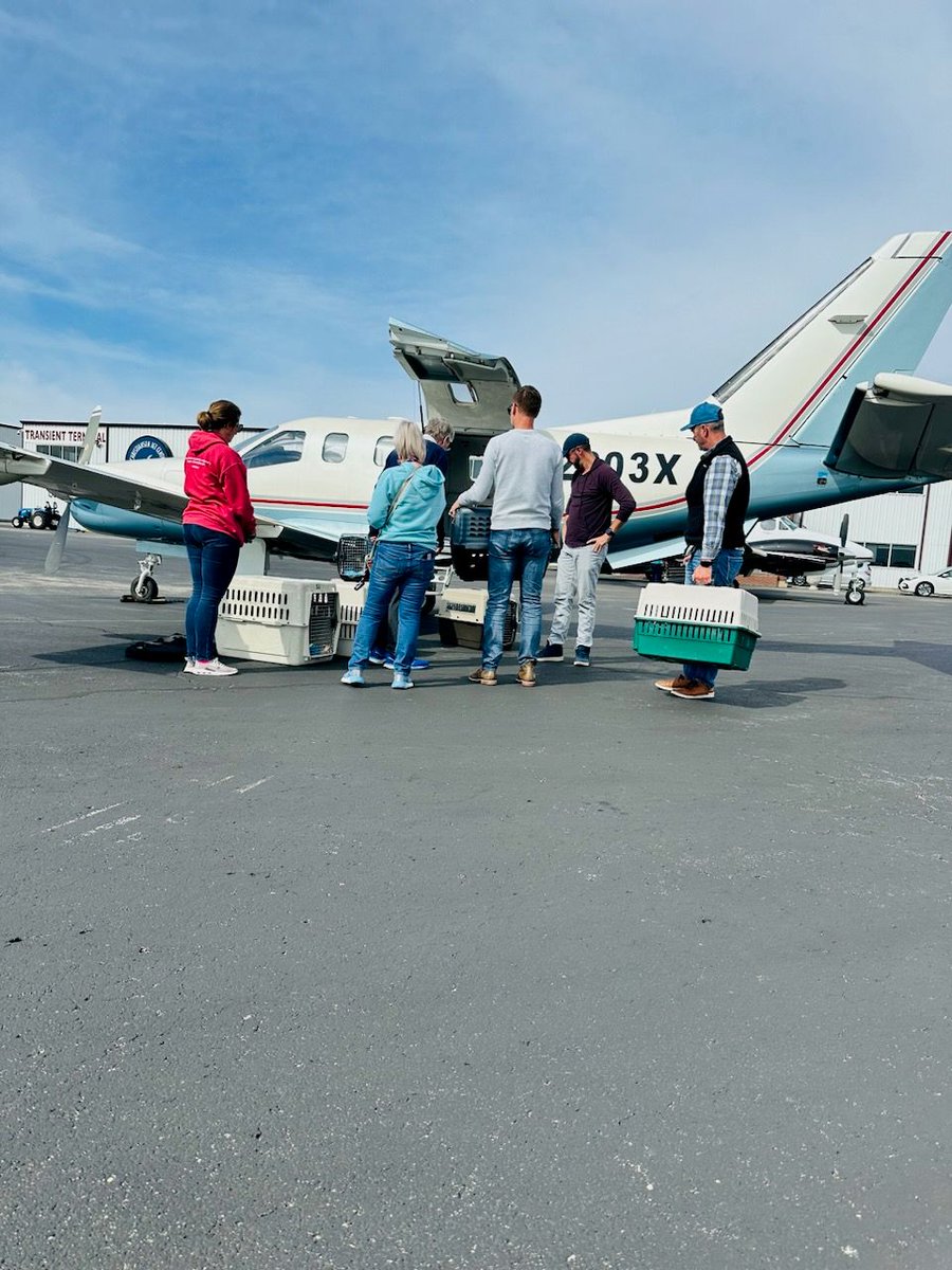 Pilot Elton's first flight for Pilots N Paws involved 11 dogs traveling to New Hope Cattle Dog Rescue &amp; Mountain Pet Rescue in Colorado.

Thank you Pilot Elton and all volunteers for giving these sweet dogs a second chance at life! ✈️🐾 #pilotsnpaws #dogrescue #freedomflight