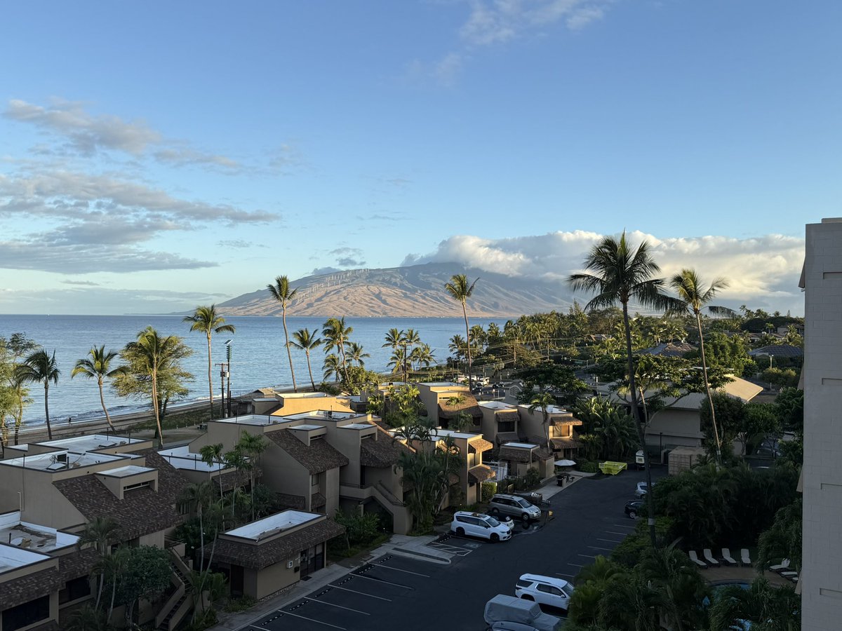 CEO of Jerkmate (@hustler__one) on Twitter photo 