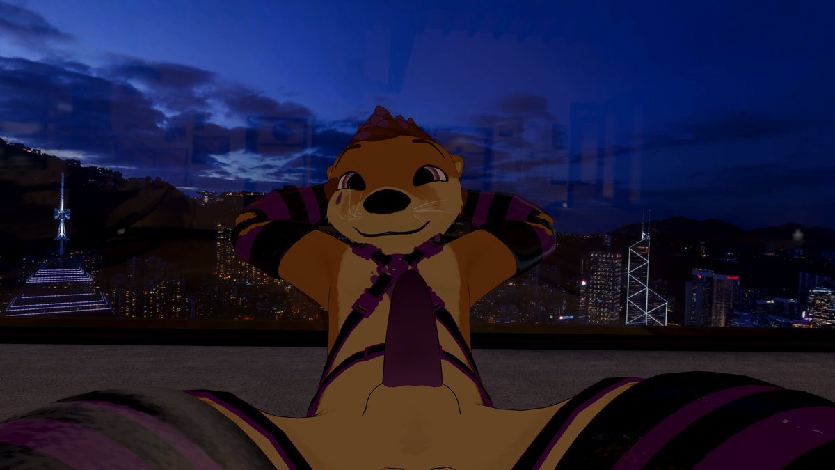 MisuTheOtter tweet media