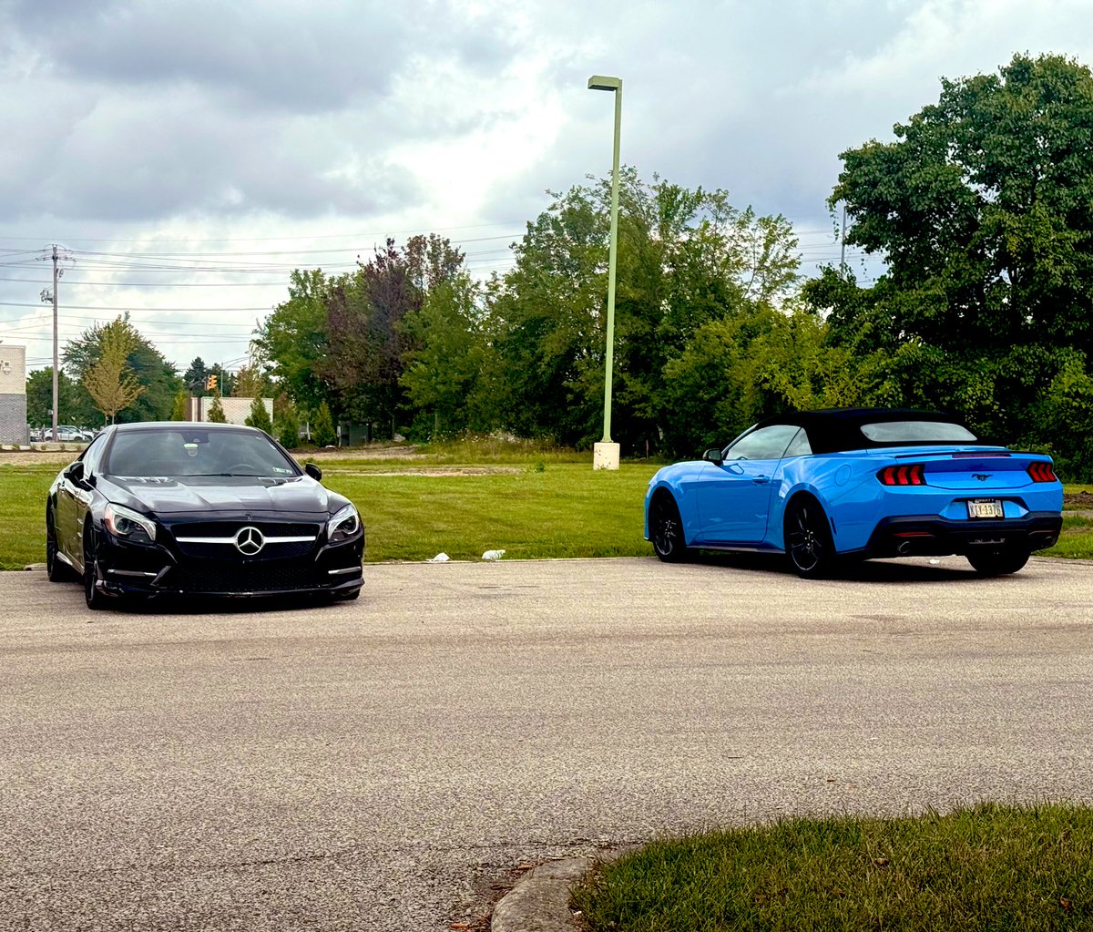 Mustang or Mercedes?