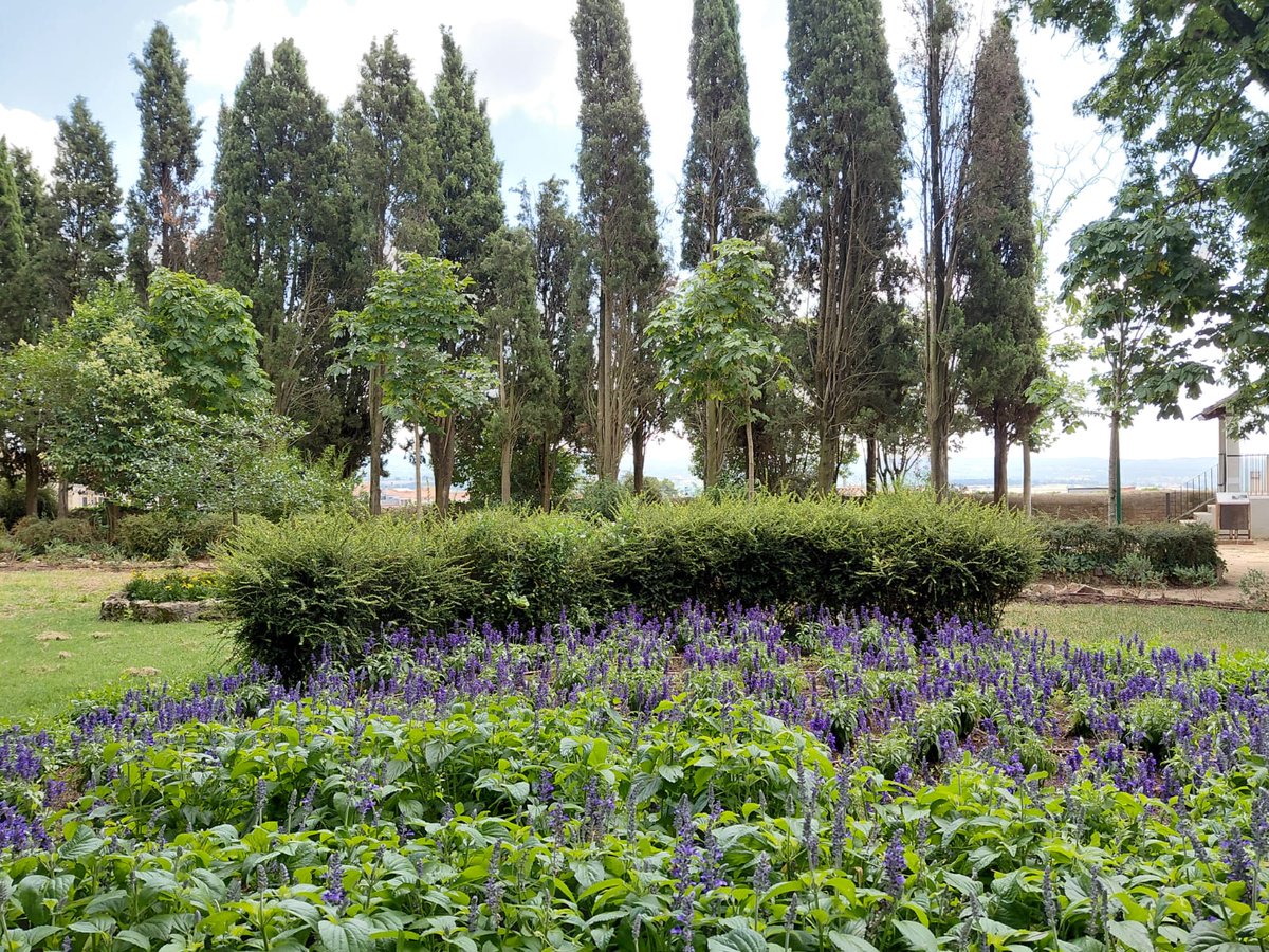 ❇️Vine a gaudir de la fresca al parc municipal Francesc Viñas

🌱Un refugi climàtic situat en un entorn natural únic declarat bé cultural d'interès local

🌸Passeja entre el verd dels arbres i descobreix els colors de les flors!

☘️Vine i recorda que mantenir-lo és cosa de tots!