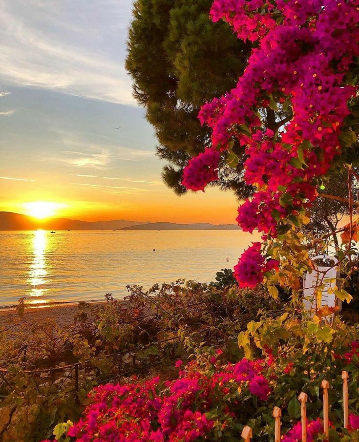 #goodeveningtwitterworld
#sunsetphotography