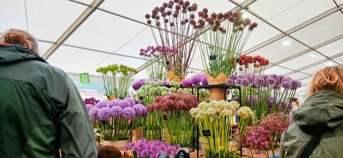 CazCutts1's tweet image. Beautiful displays at RHS Wentworth Woodhouse flower show. The Macmillan garden was especially poignant because they helped so much on my cancer journey @SheffieldStar @Sheff_HousingCo @The_RHS
