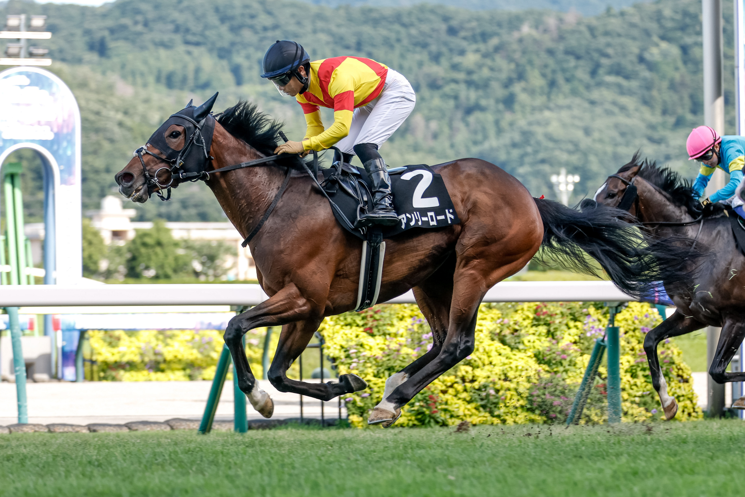 マルタ騎士騎馬像　新品　未開封 マルタ騎士騎馬像 新品 未開封｜武具