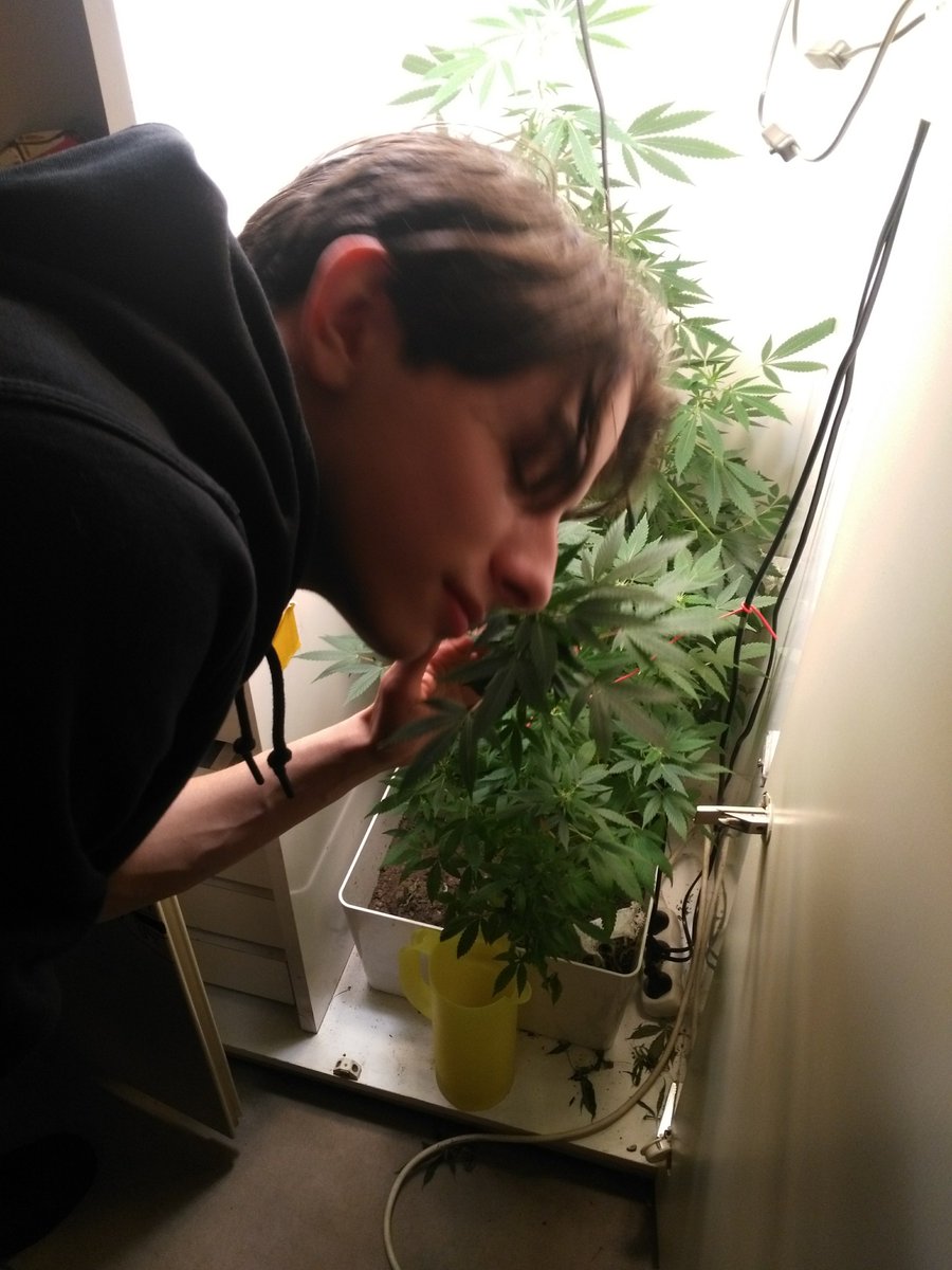 Samuel_Ecom1's tweet image. I'm 25. 

5 years ago, I had €0.20 in my bank account.

Now my fiancée and I make over €300k/month in profit.

Here's how we did it: