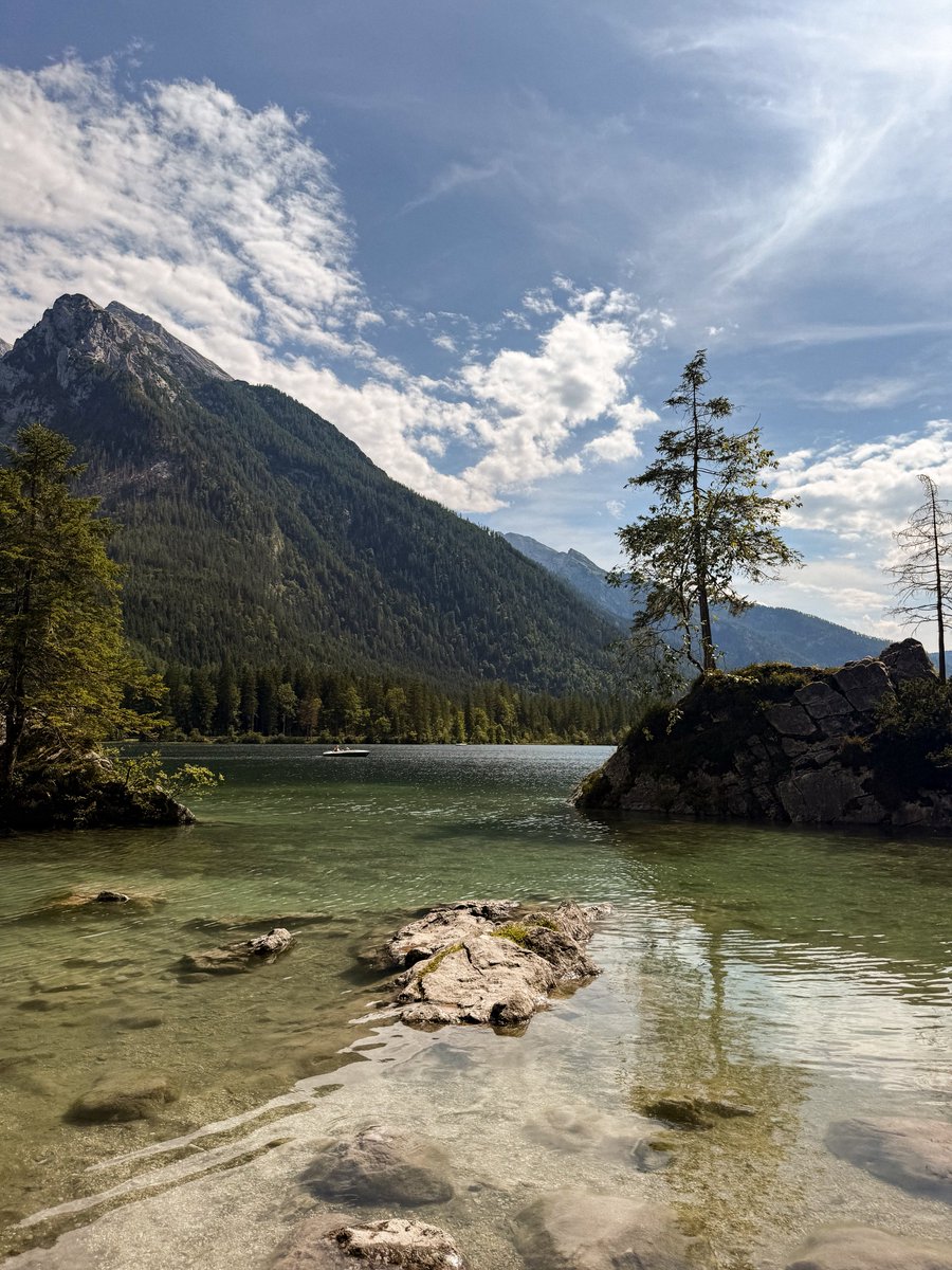 Fabian Pimminger tweet media