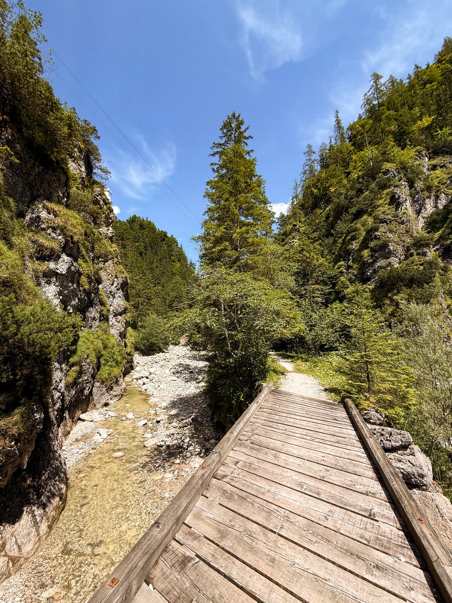 Fabian Pimminger tweet media