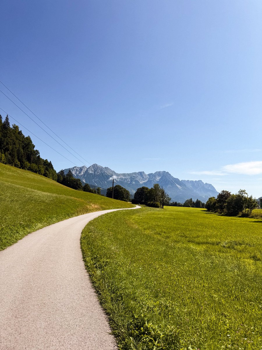 Fabian Pimminger tweet media