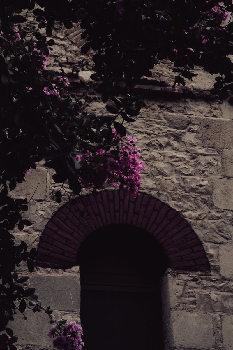 tokenofeden's tweet photo. a walk in arcadia https://t.co/3NGsFHfX39