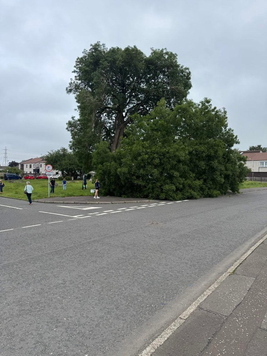 SueJWebber's tweet image. Good evening @edinhelp @Edinburgh_CC
This large tree has split and is needing attended too
It’s on Bryce Road / Corslet Place, Currie
Close to the Blossom Tree Cafe and the Driving Test Centre
Many thanks