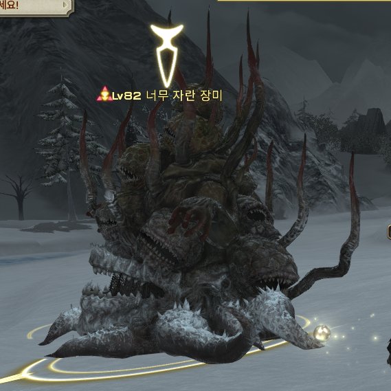 이걸.. 너무 자랐다고 하는게 맞는걸까?