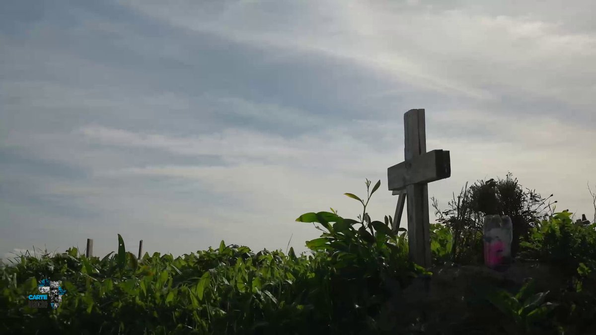Carte Blanche (@carteblanchetv) on Twitter photo Now on #CarteBlanche: Families in mourning receive shocking news; the remains they’ve received are not their loved ones. Are these the ashes of a stranger or something else entirely? And where are the bodies buried? <a href="/ermbates/">Erin Bates</a> Now on #CarteBlanche: Families in mourning receive shocking news; the remains they’ve received are not their loved ones. Are these the ashes of a stranger or something else entirely? And where are the bodies buried? <a href="/ermbates/">Erin Bates</a>