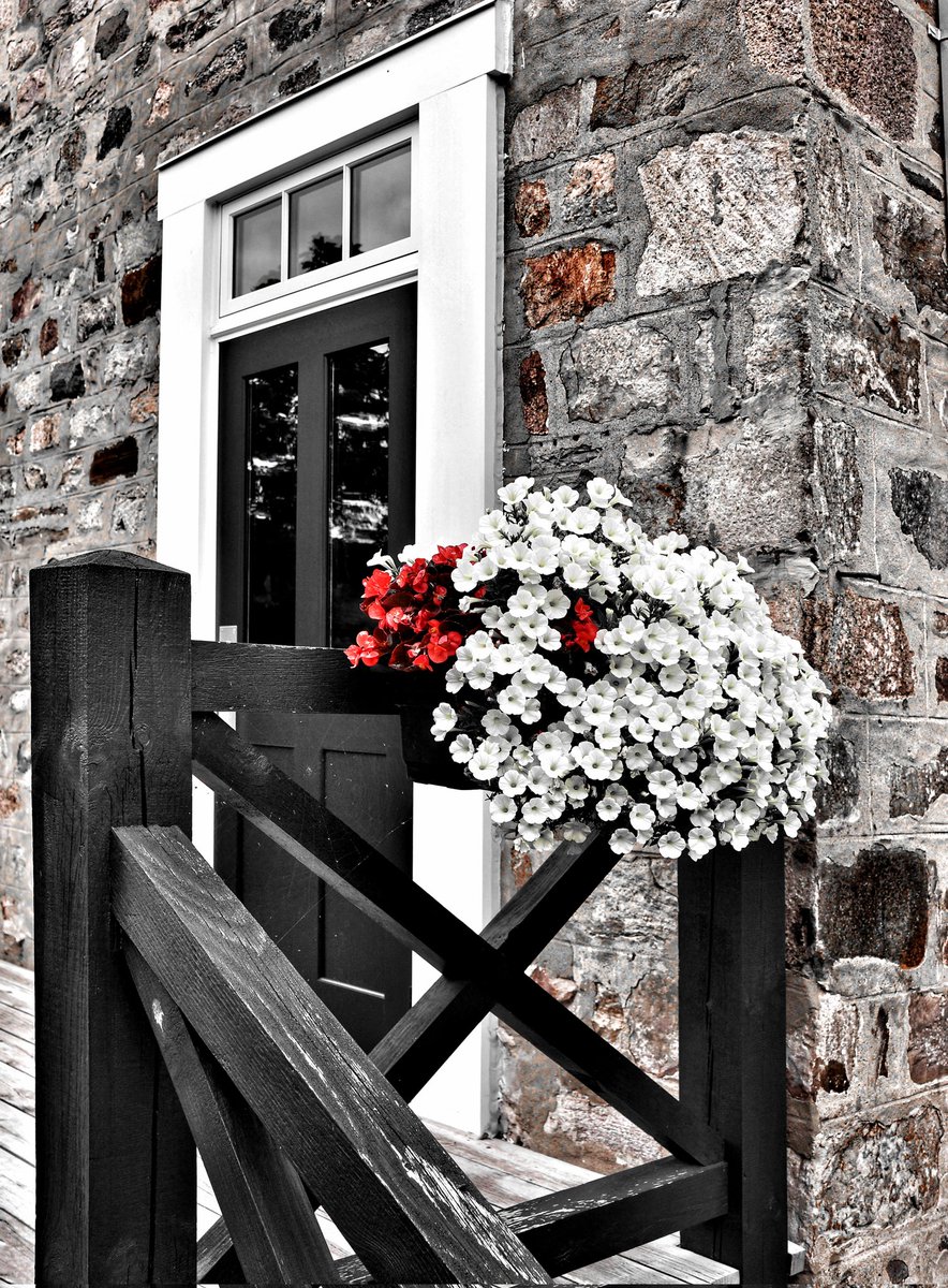 luis_from_mtl's tweet image. Entrada 🧱