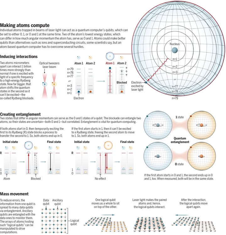 ScienceMagazine's tweet image. After faltering early on, quantum computers fashioned out of individual atoms retake the lead.
Learn more: scim.ag/4nSbaGh @NewsfromScience