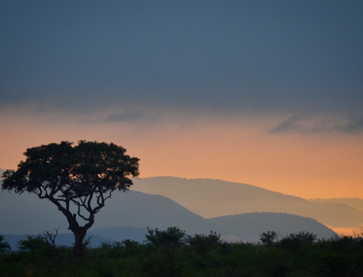 kagou15's tweet photo. @PerseusLeGrand Coucher de soleil dans un safari en Afrique du Sud https://t.co/dhQYqTkMkZ