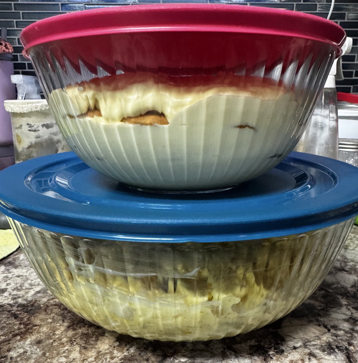 _donutninja's tweet image. Feeling accomplished 😊 biscuits & scones were baked earlier, potato salad and banana pudding are made (currently taking a fridge nap), and the pinto beans are cooking. Husband is smoking ribs. My guys will eat good tonight.