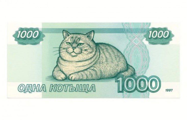 mikhasya8080's tweet image. 