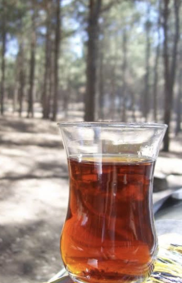 Küsmüşüz dünyaya 
İçimizde kırgın bir heves,
aklımızda yorgun bir düş.
Masamızda yarım bardak çay.
Sustuklarımız, 
kendimizden bile daha ağır…!!! 

#akşama