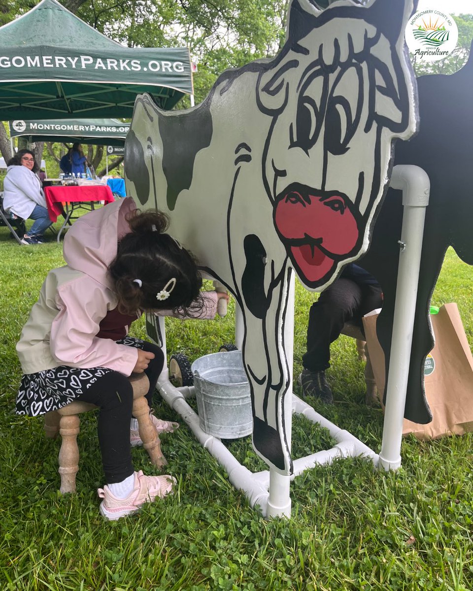 MoCoOAG's tweet image. Get hands-on with Montgomery County agriculture! 🐄
The Office of Agriculture brings this interactive milking cow to events across the county to teach kids about dairy farming in a fun, hands-on way. Stay connected with us for upcoming events!