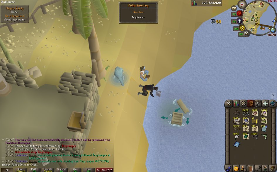 _dovv's tweet image. Another pet on the road to max!