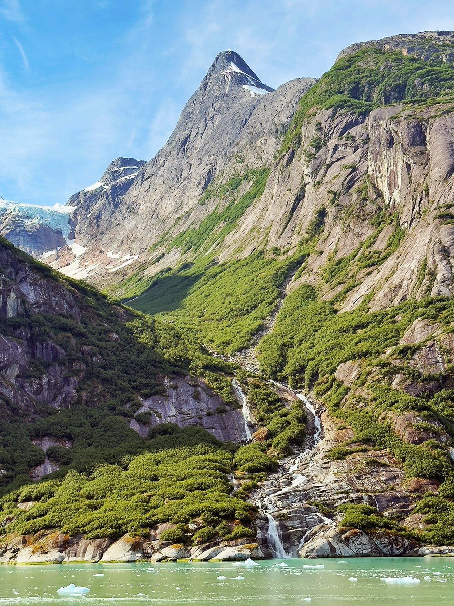 Thomas Hawk tweet media