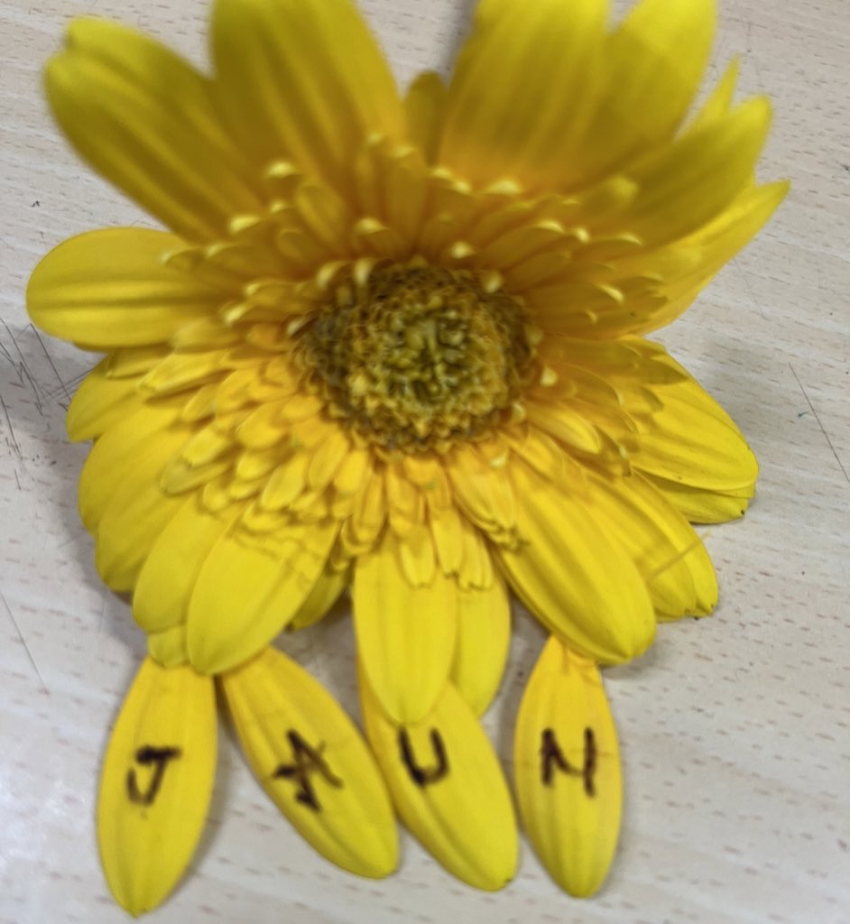 जान-ए-जाँ तुझ को अब तिरी ख़ातिर
याद हम कोई दम नहीं करते!!

#जौन_एलिया