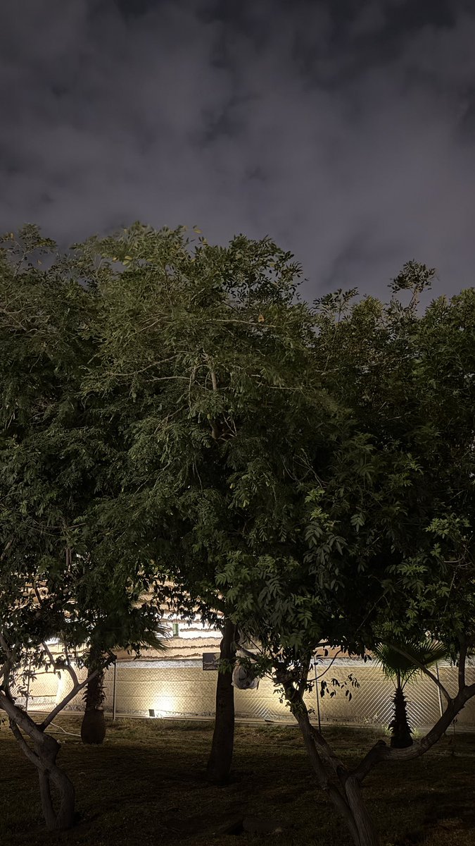 عذب السجايا (@3thb__1) on Twitter photo 