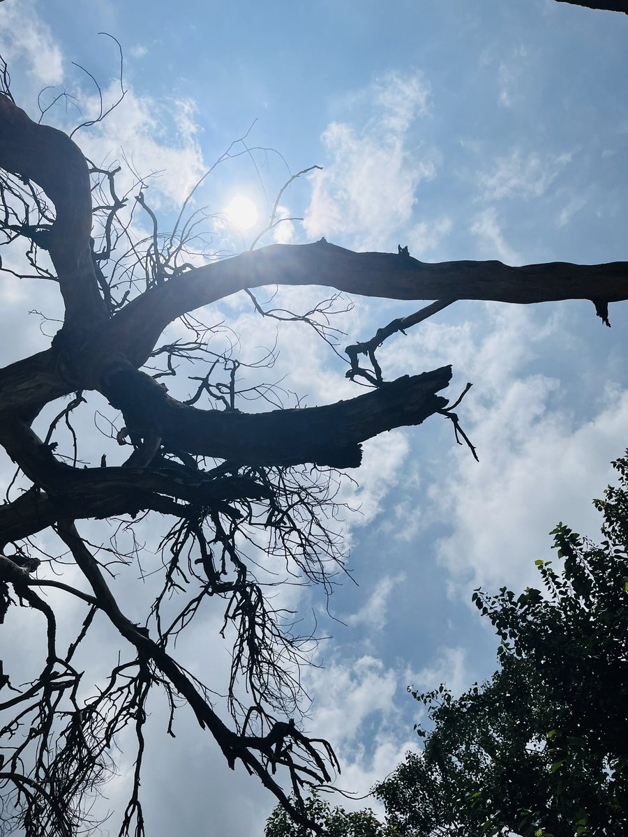 हम जी रहे हैं कोई बहाना किए बग़ैर
उस के बग़ैर उस की तमन्ना किए बग़ैर!

#जौन_एलिया