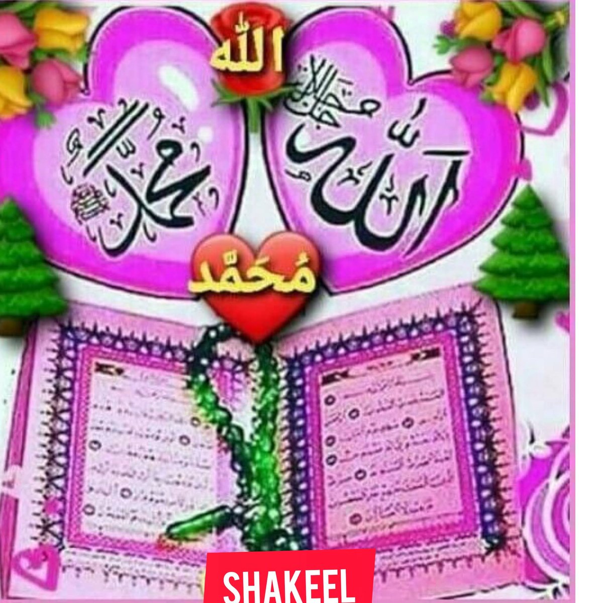 ،💚❤️ نواب زادی ❤️💚 tweet media