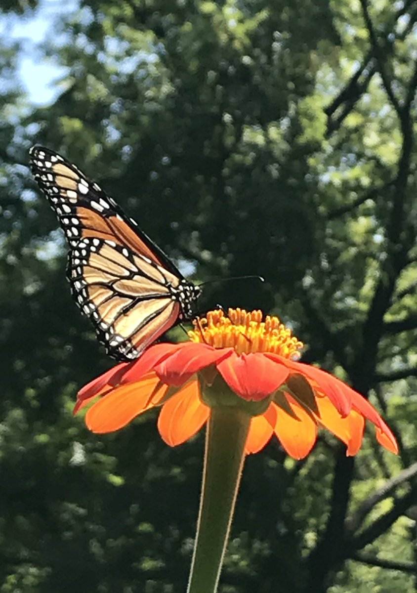 Collabor8tor's tweet image. 